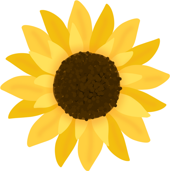 Yellow Sunflower Illustration