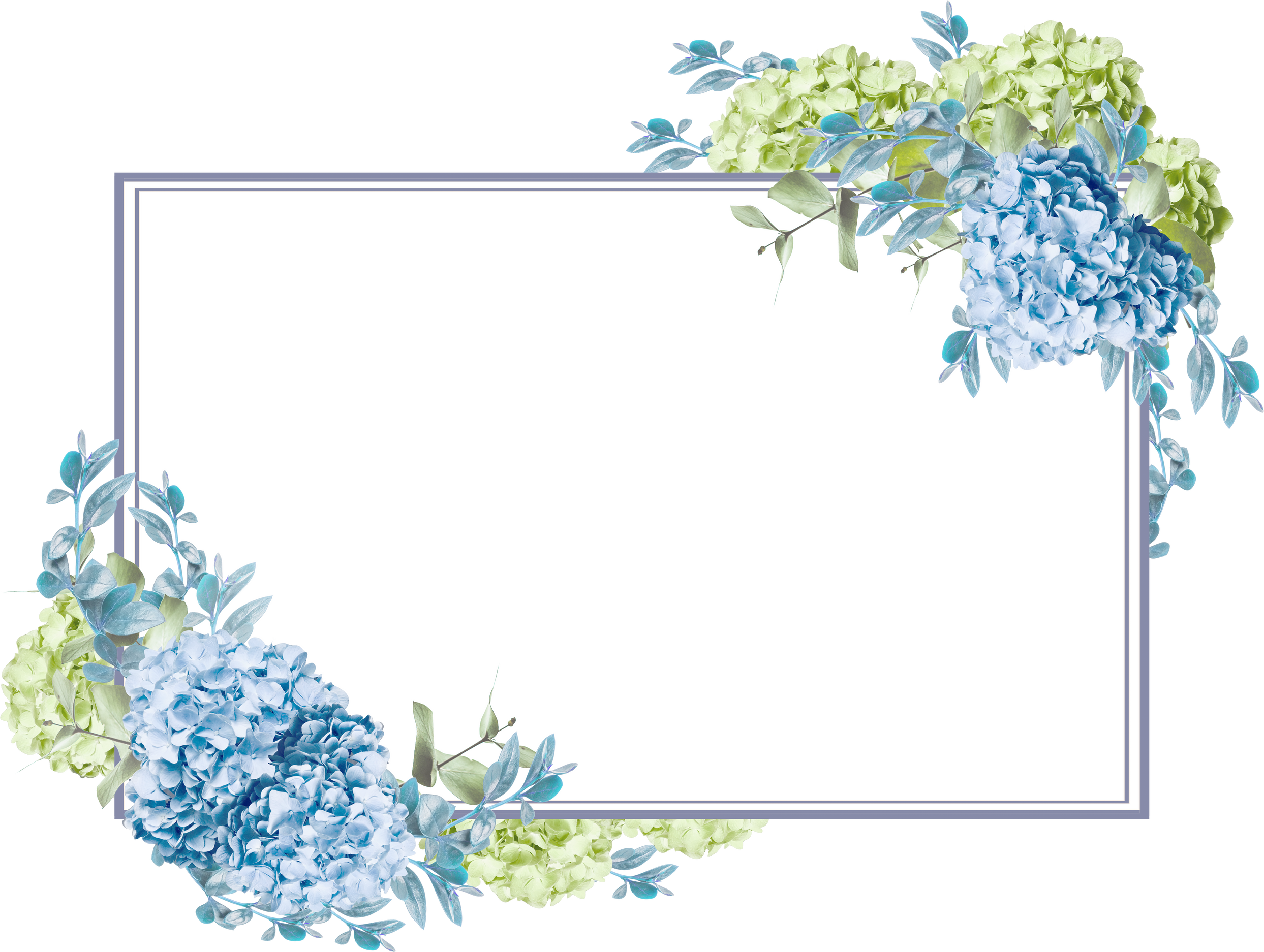 flower frame with hydrangeas